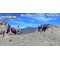 Tenerife Guided Walks - The Wow Factor Walk (Saturday)
